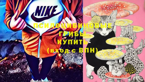 ешки Белоозёрский