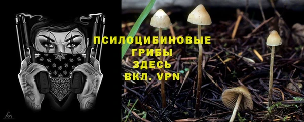 ешки Белоозёрский
