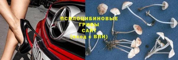 Альфа ПВП Белокуриха