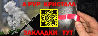 крисы Пугачёв